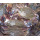 Crabe de natation bleu congelé entier d&#39;usine de prix bon marché à vendre